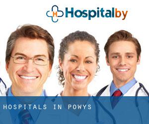 hospitals in Powys hospitals in Powys