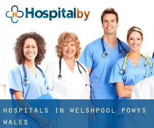 hospitals in Welshpool (Powys, Wales) hospitals in Welshpool (Powys, Wales)